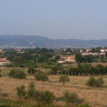 Montecchio Di Cortona Leilighet Eksteriør bilde